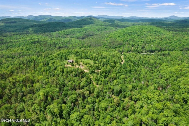 aerial view with a mountain view