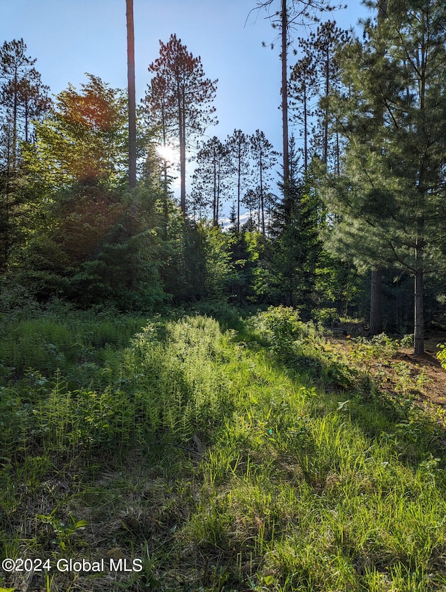 view of nature