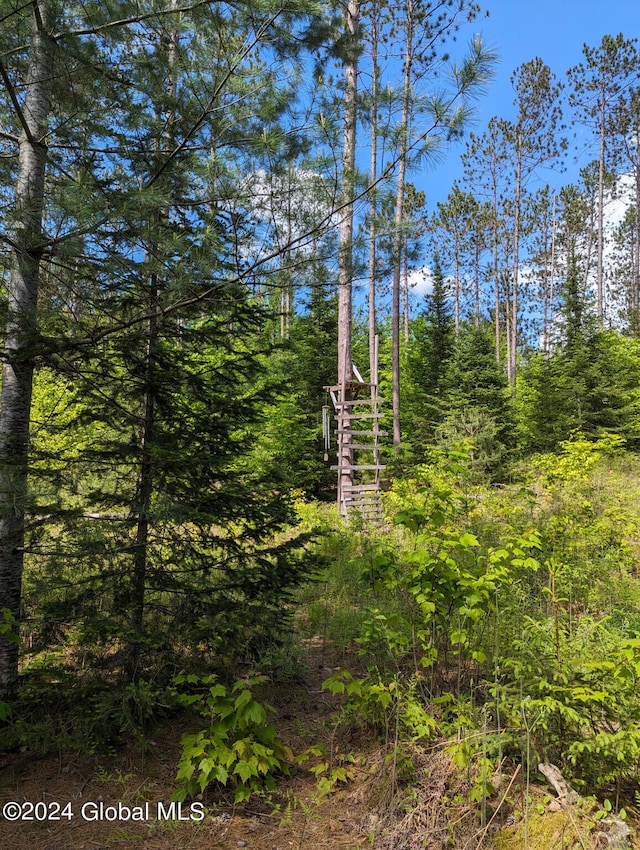 view of nature with a view of trees