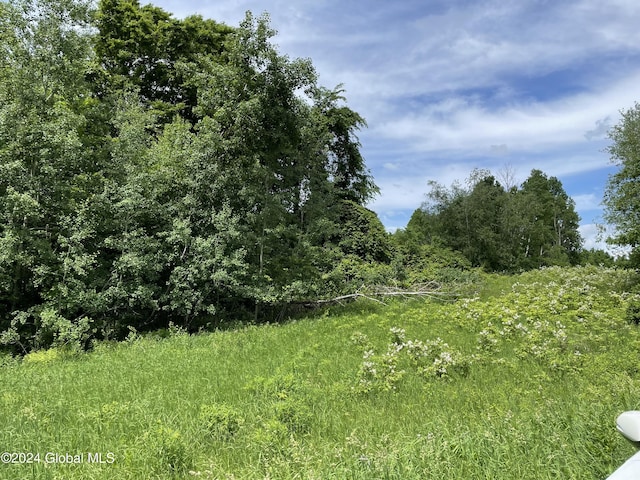 Listing photo 3 for LOT3 Halterman Rd, Granville NY 12832