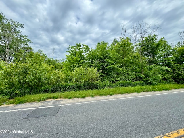 L42 Midline Rd, Amsterdam NY, 12010 land for sale