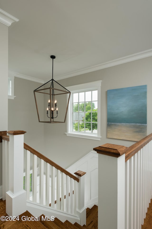 stairs featuring crown molding, a notable chandelier, and wood-type flooring