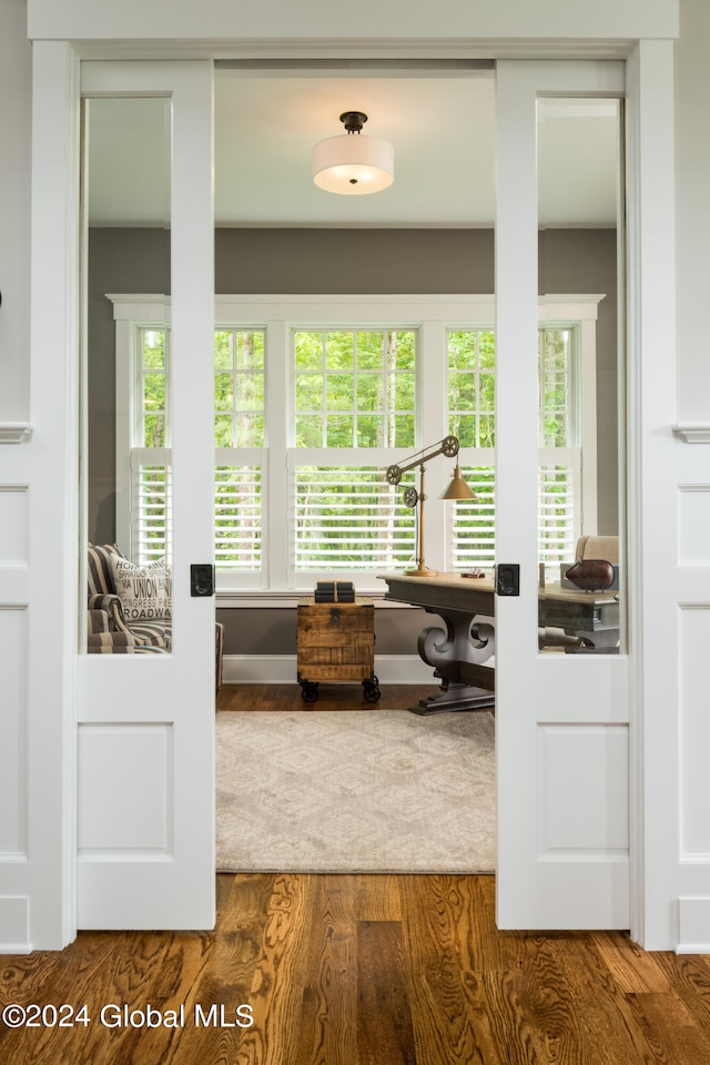 entryway with wood-type flooring and a wealth of natural light