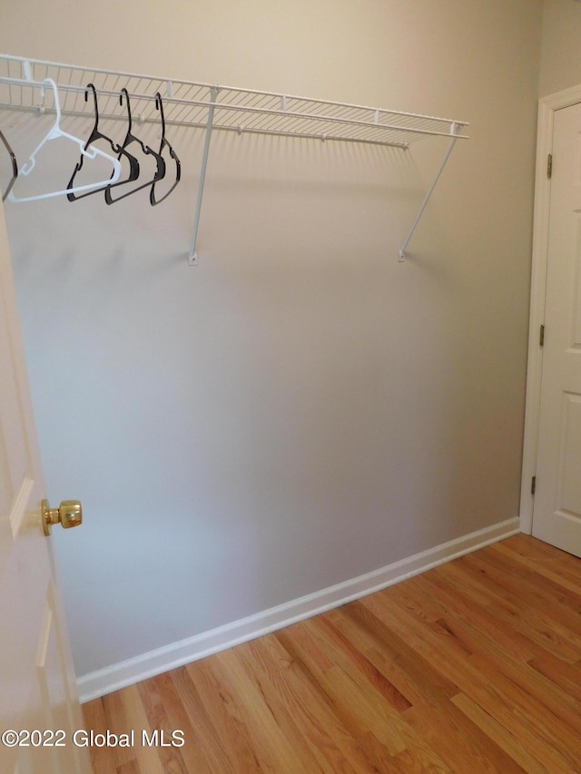 walk in closet with wood-type flooring