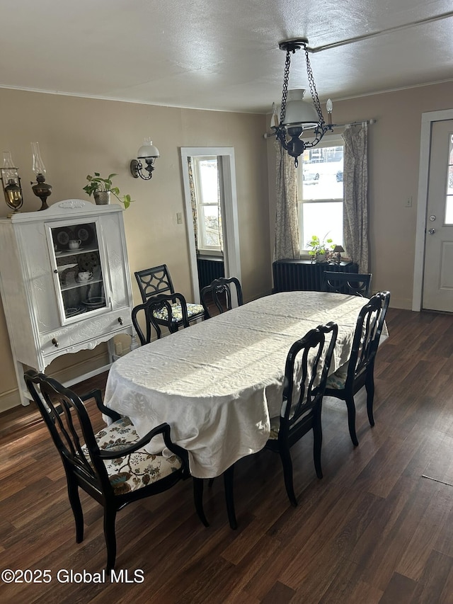 dining room featuring a healthy amount of sunlight, dark hardwood / wood-style floors, and a textured ceiling