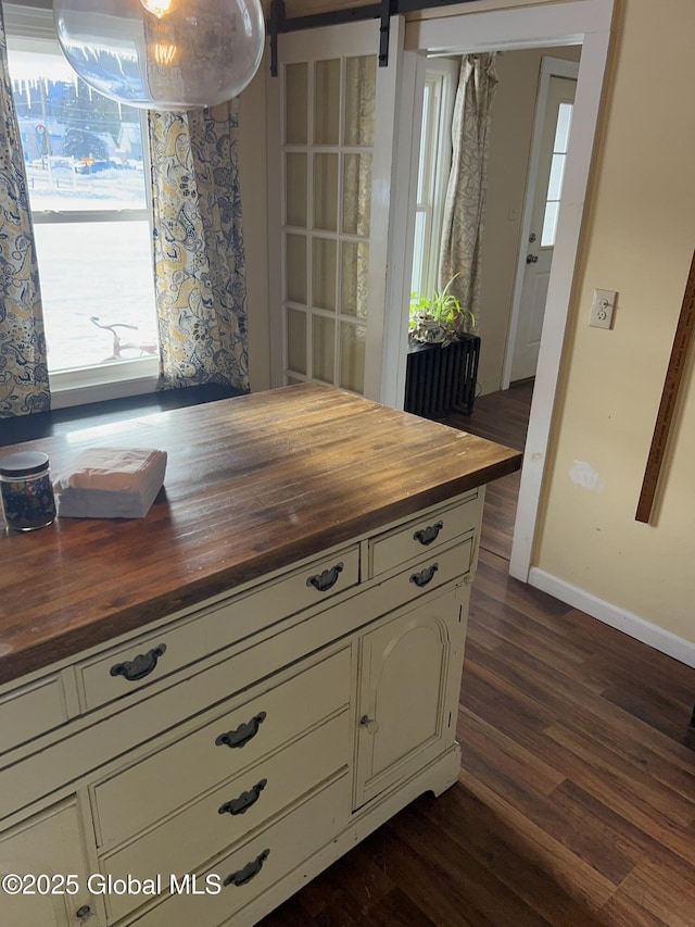 kitchen featuring butcher block counters, dark hardwood / wood-style floors, and a barn door