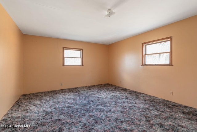 carpeted spare room with a wealth of natural light