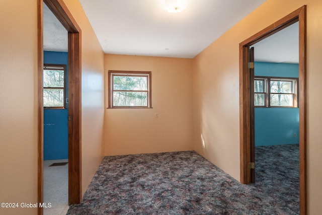 carpeted spare room with plenty of natural light