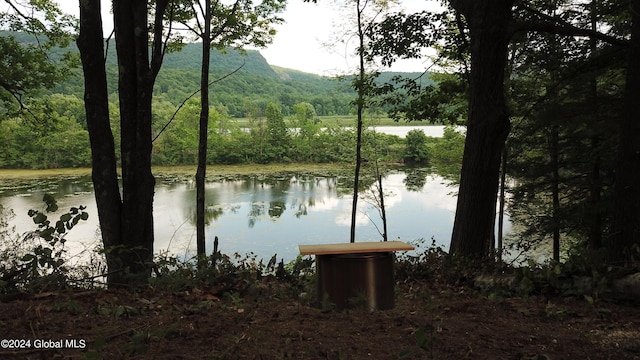 property view of water with a mountain view