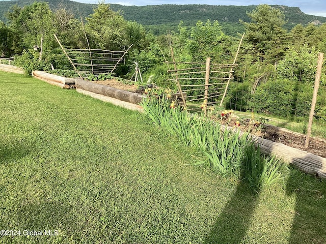 view of yard with a mountain view