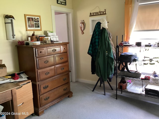 miscellaneous room featuring light carpet