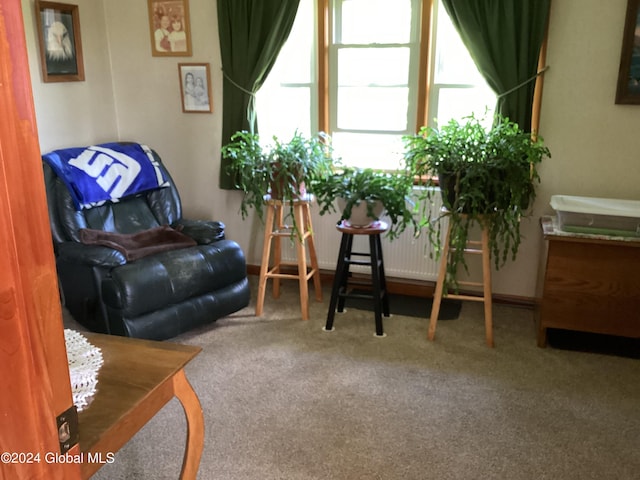 sitting room with carpet floors