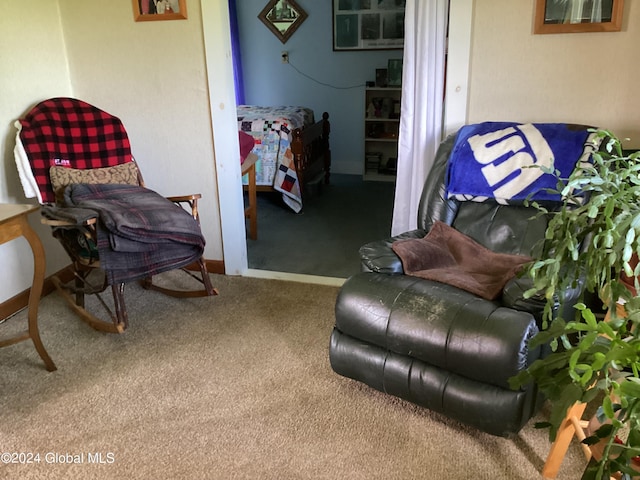 sitting room with carpet