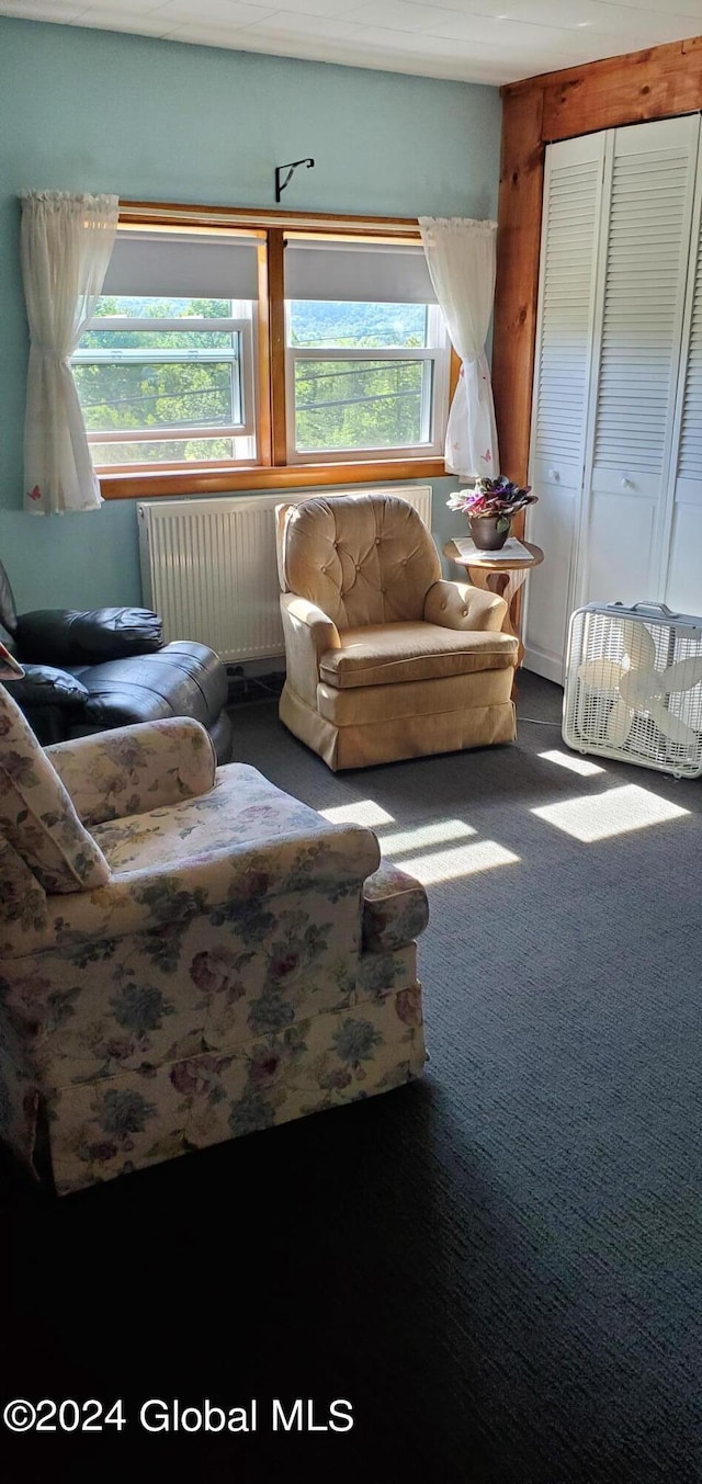 sitting room featuring radiator heating unit and carpet