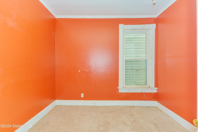 empty room featuring carpet flooring