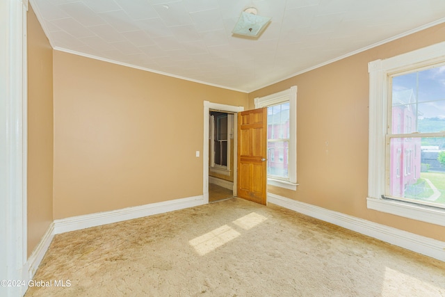 carpeted empty room featuring ornamental molding