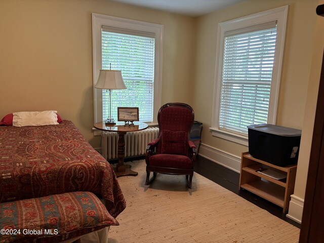 113 S William St, Johnstown, NY 12095 - bedroom featuring baseboards, wood finished floors, radiator heating unit, and multiple windows