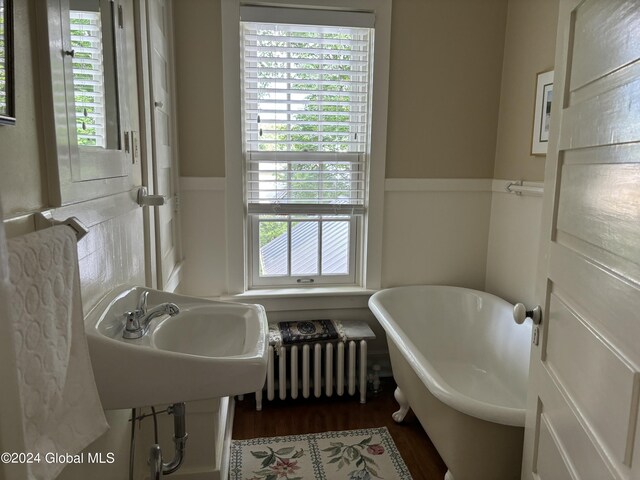 113 S William St, Johnstown, NY 12095 - full bathroom featuring wood finished floors, a sink, radiator heating unit, a freestanding bath, and wainscoting