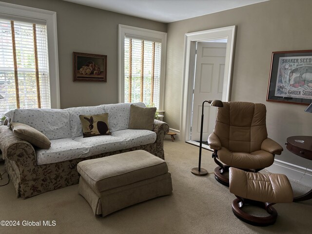 view of carpeted living room