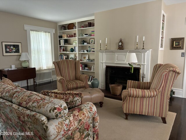 113 S William St, Johnstown, NY 12095 - living area with a fireplace and radiator heating unit