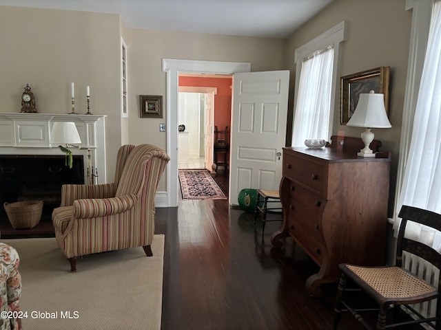 sitting room with dark wood-type flooring