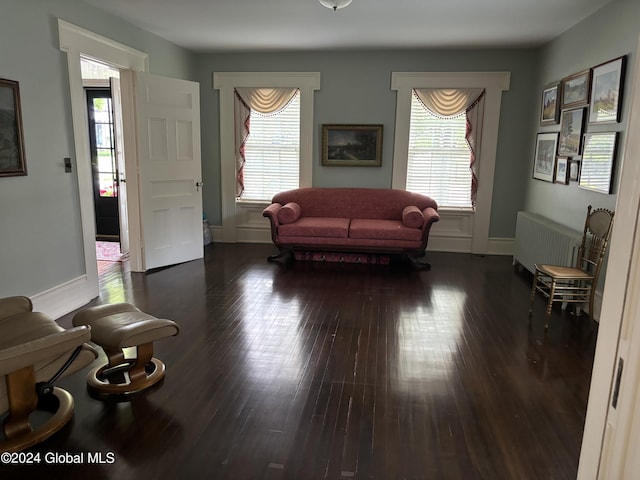 living room featuring plenty of natural light, radiator heating unit, and dark wood-type flooring