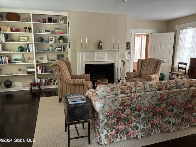 living room with hardwood / wood-style flooring