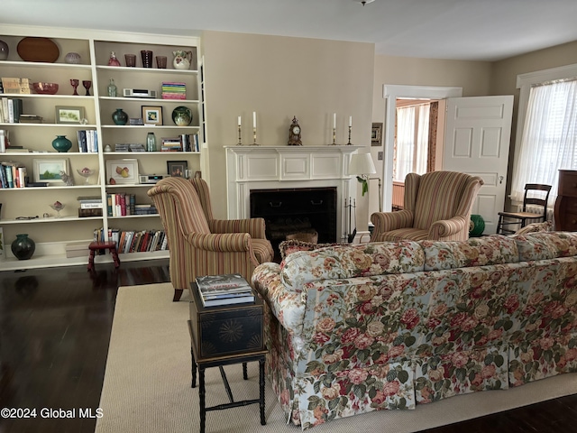 113 S William St, Johnstown, NY 12095 - living area with a fireplace and wood finished floors