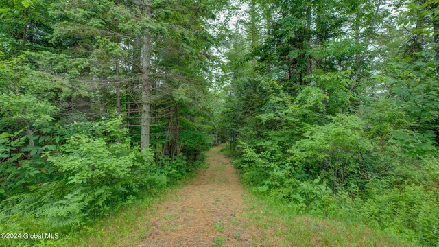 2769 State Route 8 # 2, Speculator, NY 12164 - view of tree filled area