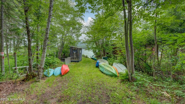 2769 State Route 8 # 2, Speculator, NY 12164 - view of yard
