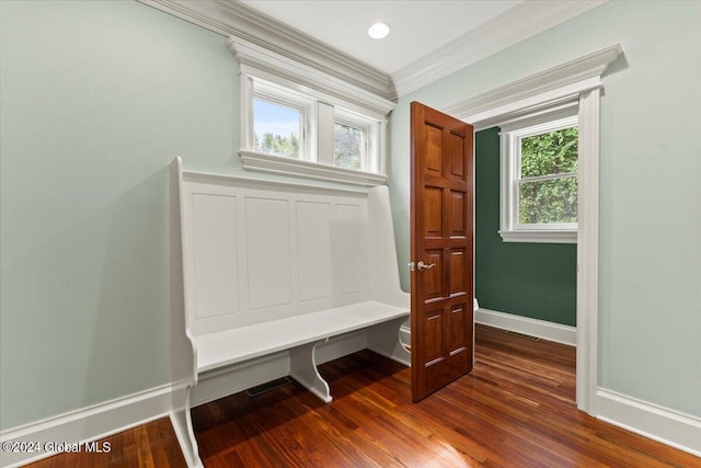 mudroom with hardwood / wood-style floors, crown molding, and plenty of natural light