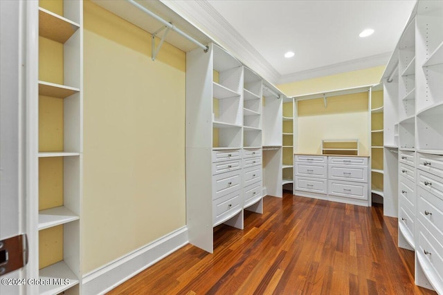 spacious closet with dark hardwood / wood-style floors