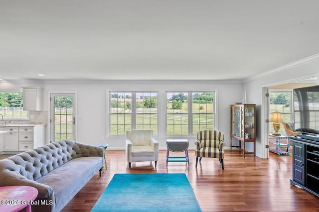 living room with a healthy amount of sunlight, ornamental molding, and dark hardwood / wood-style floors