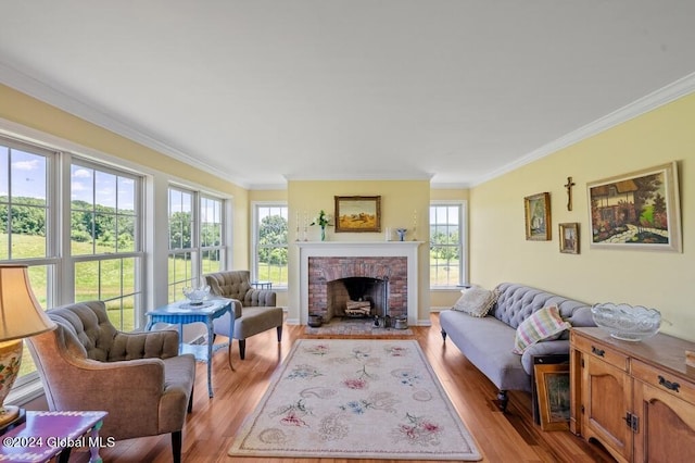 living room with wood-type flooring, a fireplace, and plenty of natural light