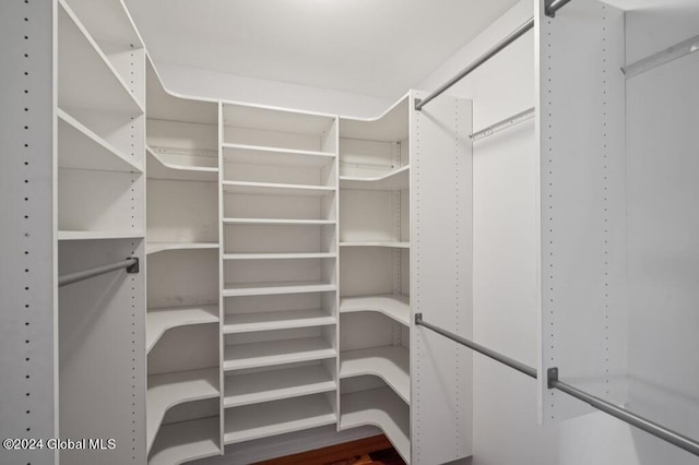 walk in closet featuring wood-type flooring