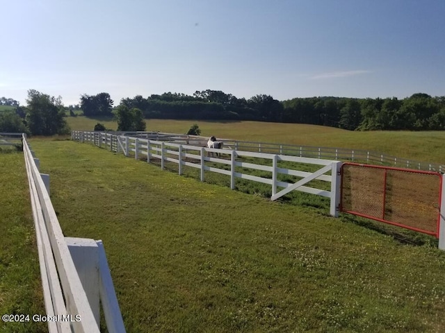 view of yard with a rural view