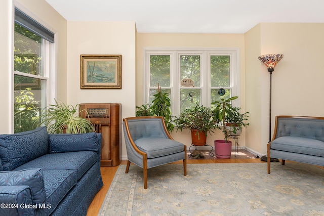 living area featuring wood finished floors and a healthy amount of sunlight
