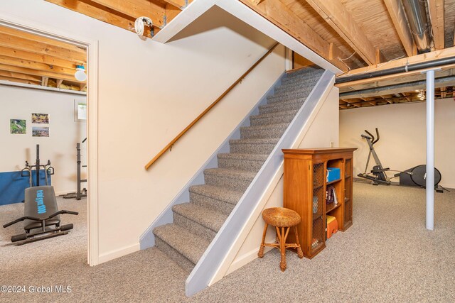 staircase featuring carpet flooring