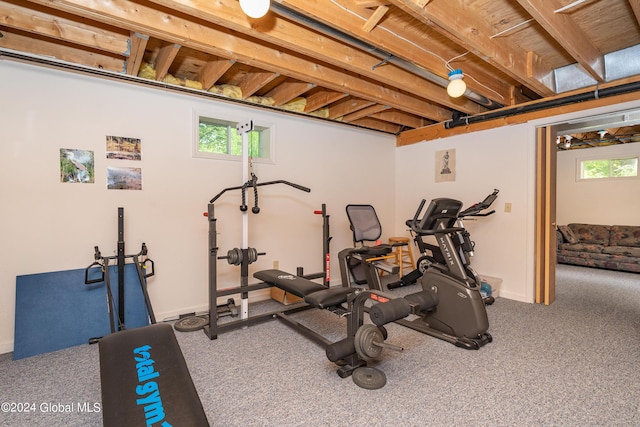 exercise room featuring baseboards and carpet