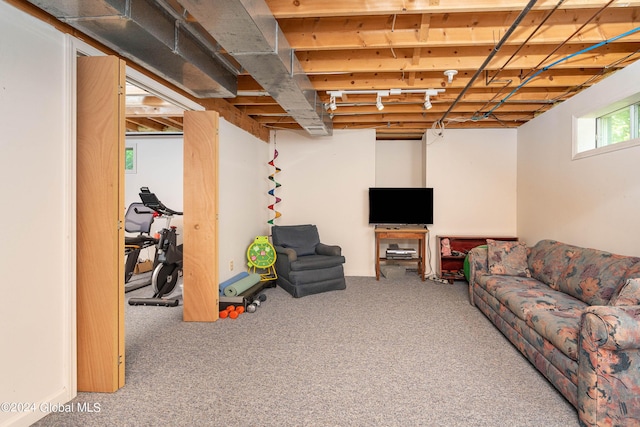 view of carpeted living room