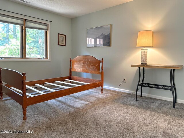 441 Lockhart Mountain Rd Unit 1, Lake George, NY 12845 - photo 22