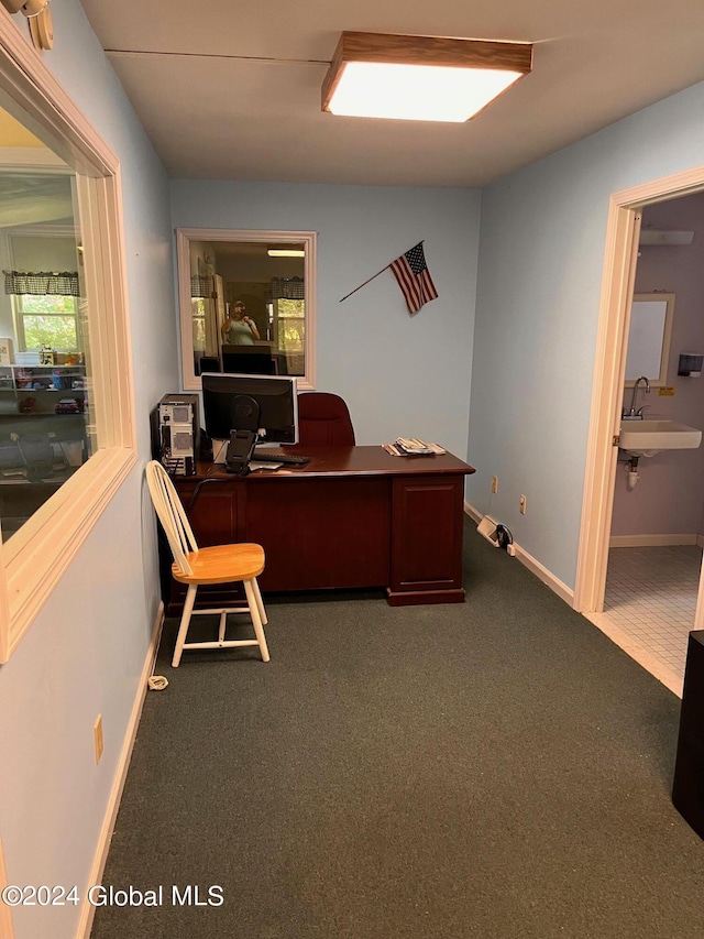 office area featuring carpet floors and sink