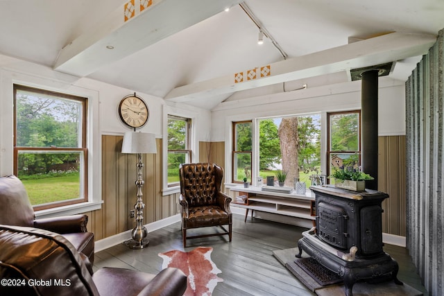 living room featuring a healthy amount of sunlight, wood-type flooring, a wood stove, and lofted ceiling