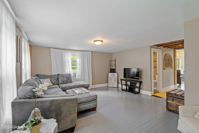 living room featuring hardwood / wood-style flooring