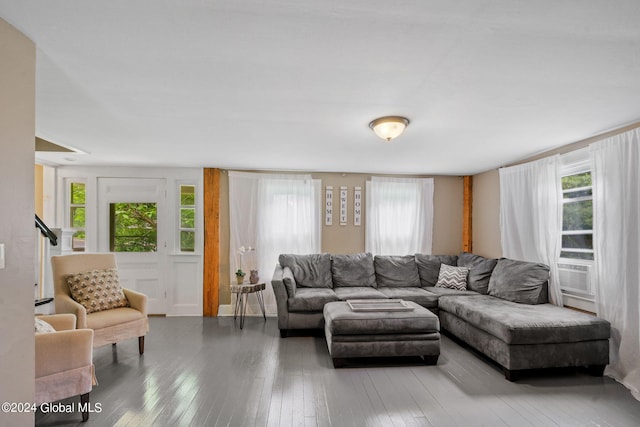 living room with a healthy amount of sunlight and wood-type flooring