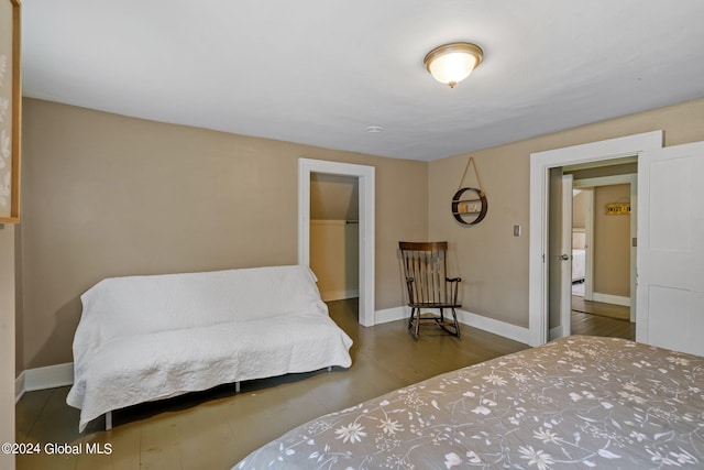 bedroom featuring a closet, a walk in closet, and wood-type flooring