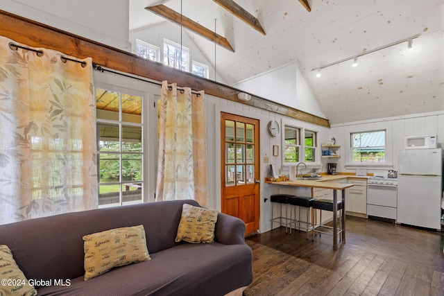 living room featuring high vaulted ceiling, sink, track lighting, and dark wood-type flooring