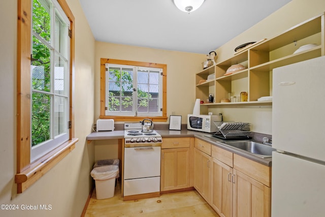 kitchen featuring a wealth of natural light, sink, white appliances, and light wood-type flooring