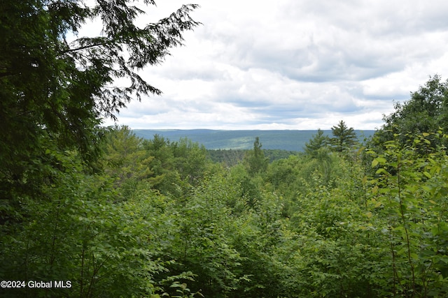 L15.1 High Pine Meadows Rd, Fulton NY, 12122 land for sale