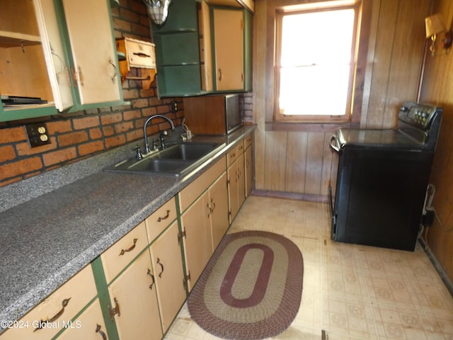 kitchen with range, wood walls, and sink